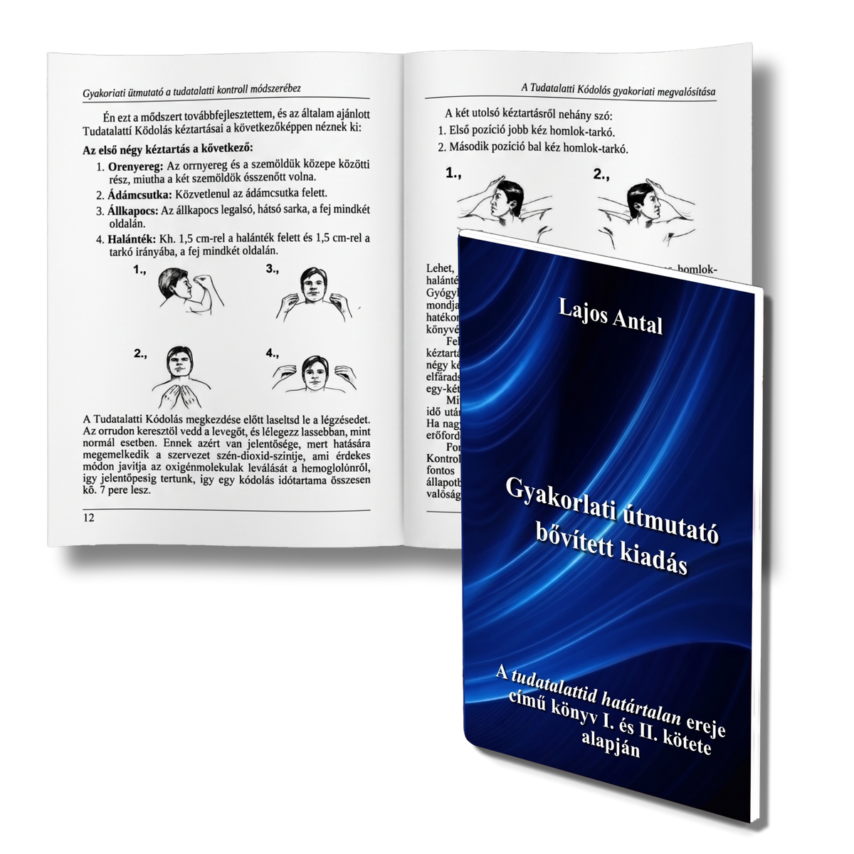 Practical Guide - Expanded Edition